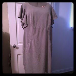 Calvin Klein plus size gray dress